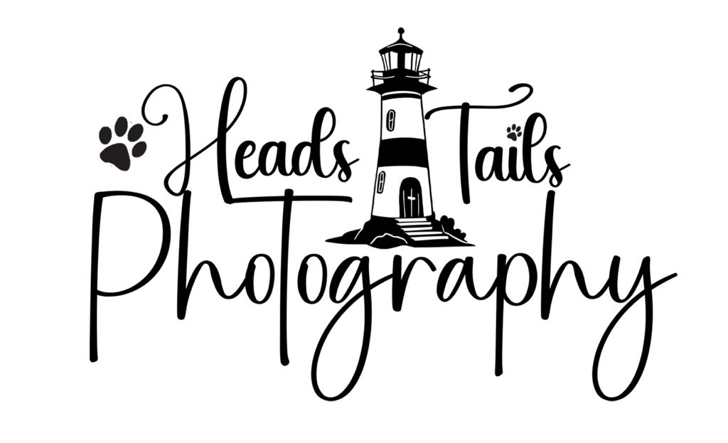 Heads and Tails Photography Heads and Tails Photography watermark, atlantic dog photographer